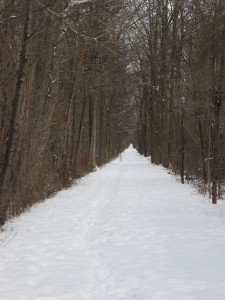 The trail headed east