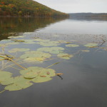 canadice lake sept. 2013 094