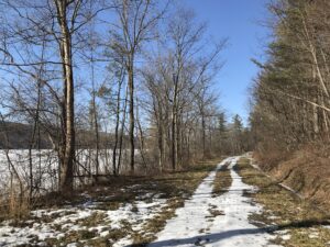 A Hike Along the Hemlock Lakeshore and Rob's Trail