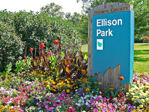 Ellison Park Hike (43.1510, -77.5133)