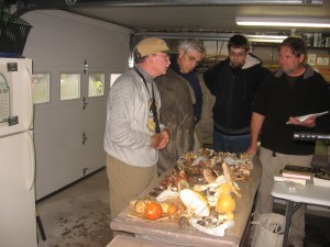 Discussing mushrooms after the collection