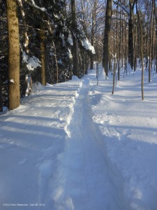A snowshoe trail along the Pine Trail off Wheaton Hill