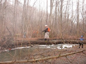 crossing the creek by log in december 2013