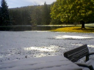 Pond, October 28, 2011