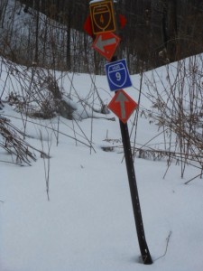 snowmobile markers on Liddiard Road to Coates