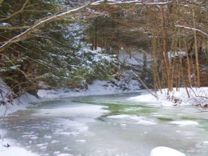 partially frozen creek's water is somewhat green
