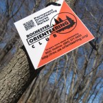 Just one of the 24 control markers on the Permanent Orienteering Course at Durand Eastman.