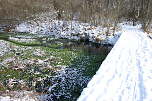 Irondequoit Creek, Jan 2007