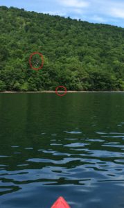 Suggested landing area for trading kayak paddlers.