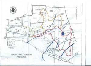 wesley map from gulick