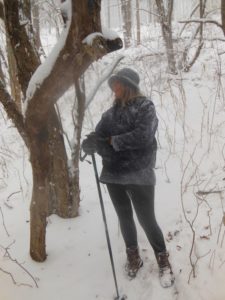 punky-hollow-hike-and-nov-snow-storm-020
