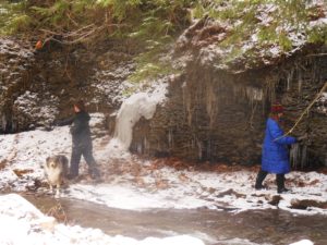 The Disappearing Footprints- Winter in the Hemlock-Canadice State Forest - Canadice Outlet @ Pam's house | Hemlock | New York | United States