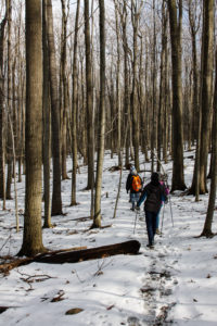 Hike at Mt. Morris Dam, Mt Morris @ Mt Morris Dam hike | Mount Morris | New York | United States