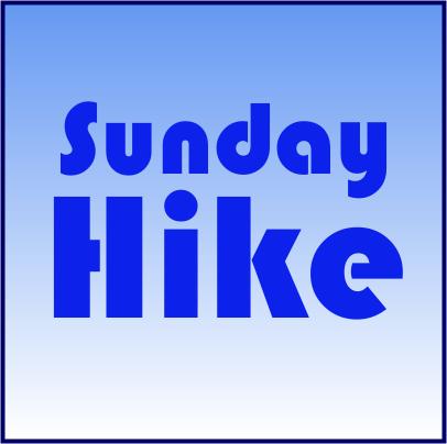 First Day Hike at Hemlock-Canadice with Springwater Trails Inc @ Canadice Lake Trail
