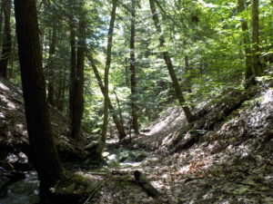 Wesley Hill Preserve @ Gulick Rd Parking Lot | Naples | New York | United States