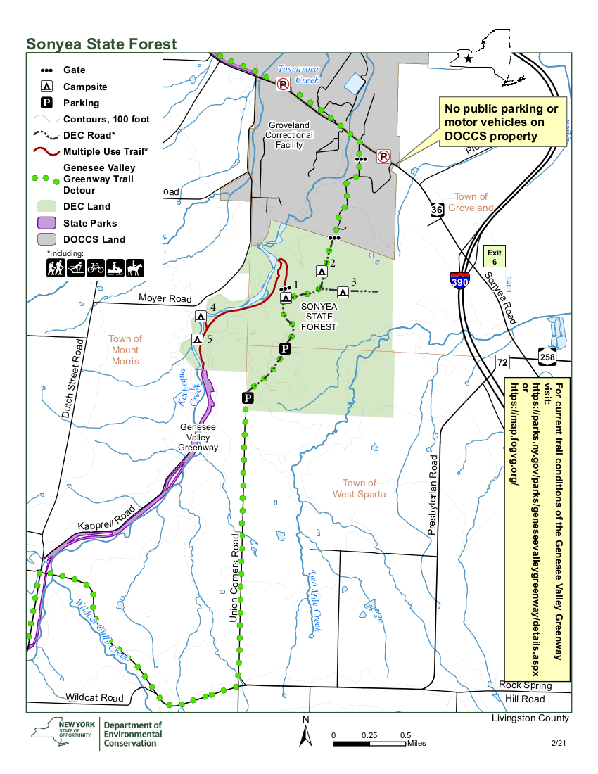 Sonyea State Forest-Keshequa Creek Hike | Springwater Trails