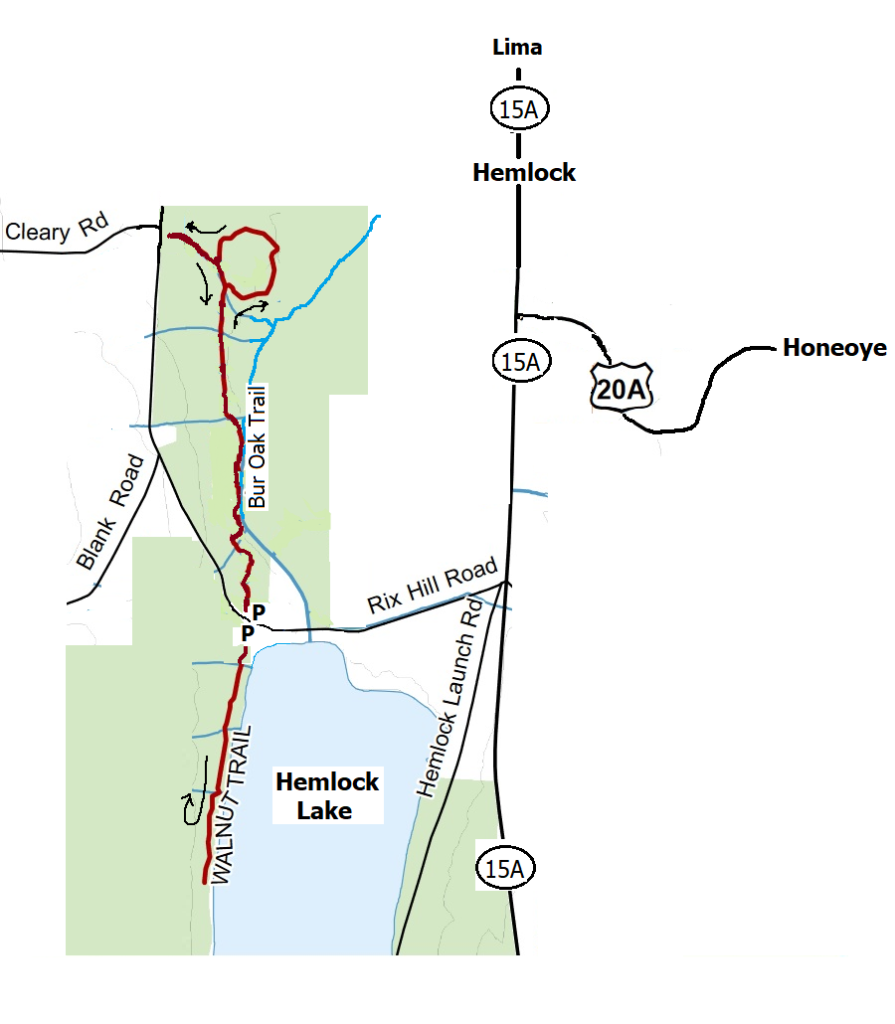 Hike at Hemlock Lake Northwest Corner, Hemlock | Springwater Trails