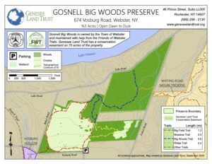 Gosnell Big Woods Hike, Webster